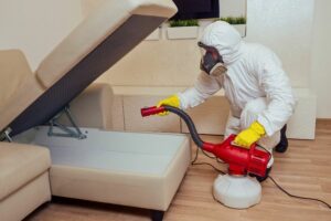 bed-bug-exterminator-near-me-roseville