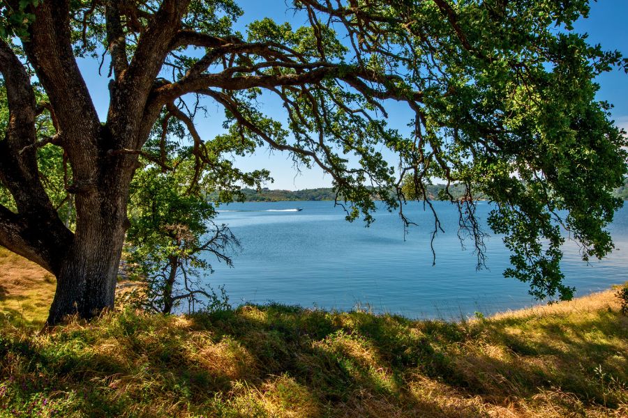 folsom-lake-state-rec-area