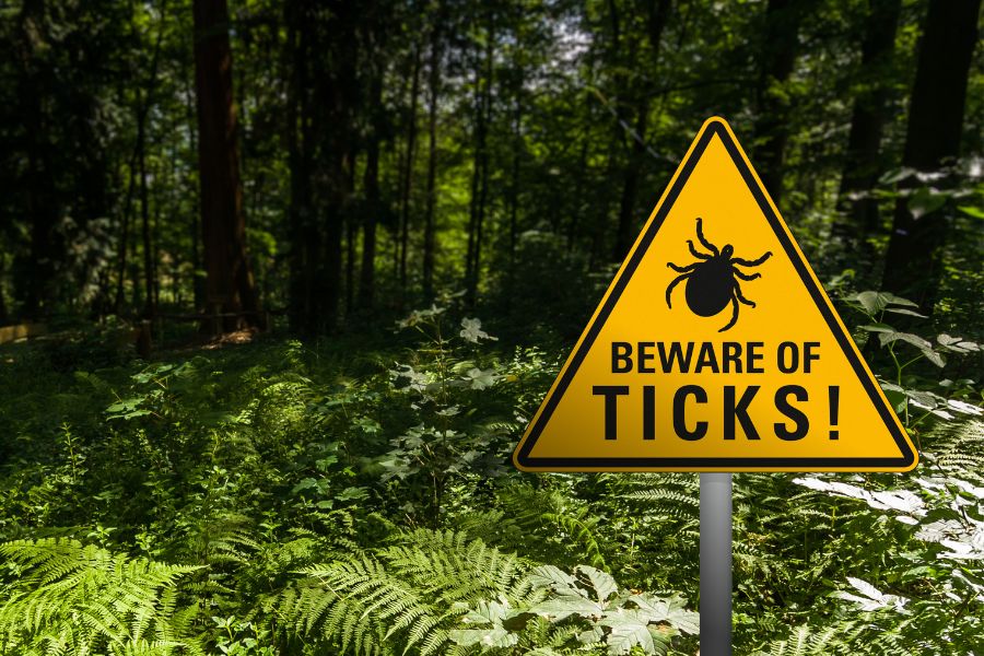 tick-control-company-near-me-elk-grove