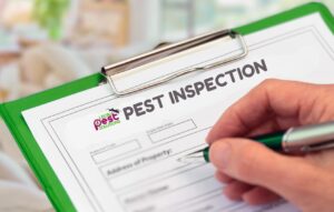 hire-exterminator-vacaville